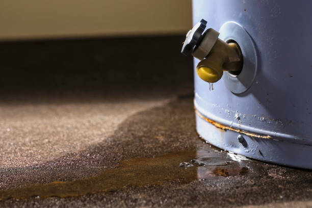 Best Emergency water damage restoration  in Green Valley, CA