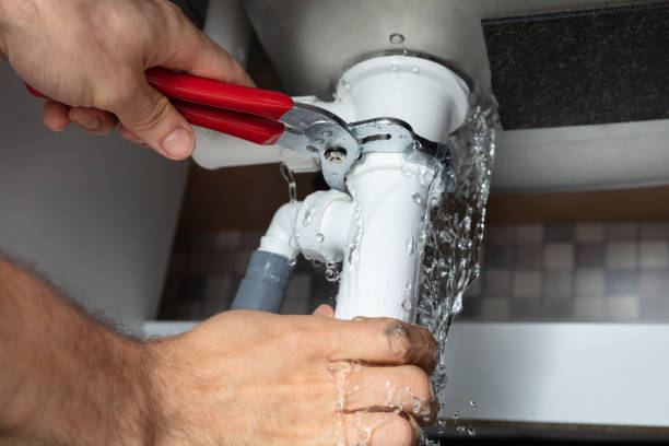 Best Flood damage cleanup  in Green Valley, CA