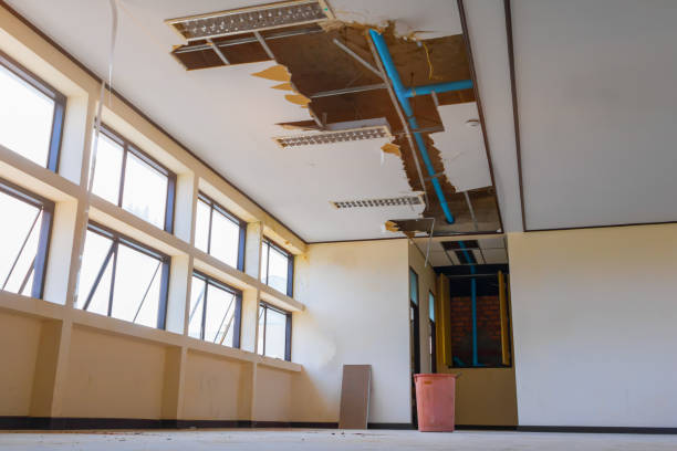 Best Sewage cleanup and water damage restoration  in Green Valley, CA