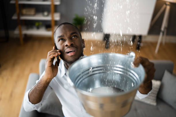 Best Water damage restoration specialists  in Green Valley, CA