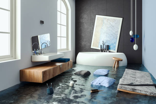 Best Water damage mitigation services  in Green Valley, CA
