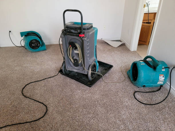 Best 24/7 water damage repair  in Green Valley, CA