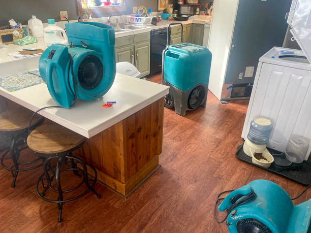 Best Water damage restoration near me  in Green Valley, CA