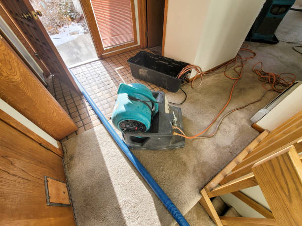 Best Carpet water damage restoration  in Green Valley, CA