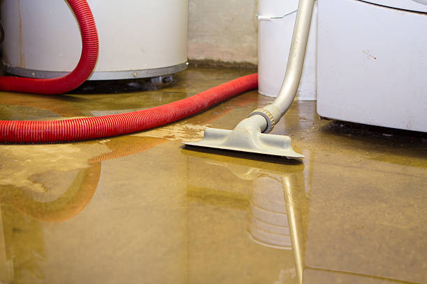 Best Professional water damage repair  in Green Valley, CA