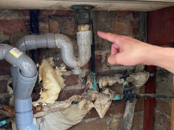 Best Ceiling water damage repair  in Green Valley, CA