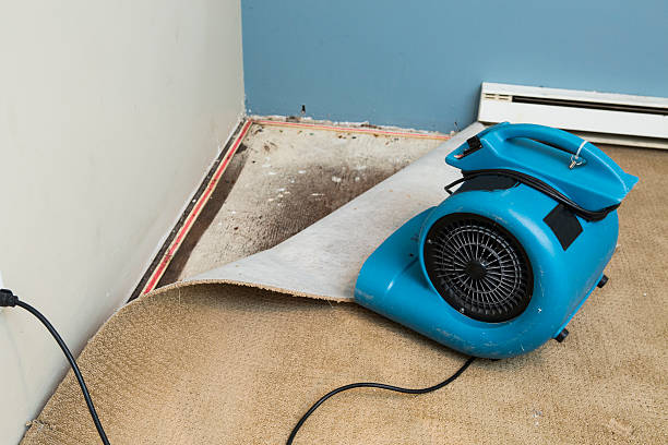 Best Water damage contractors near me  in Green Valley, CA